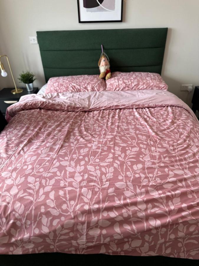 דבלין Private Ensuite Room מראה חיצוני תמונה